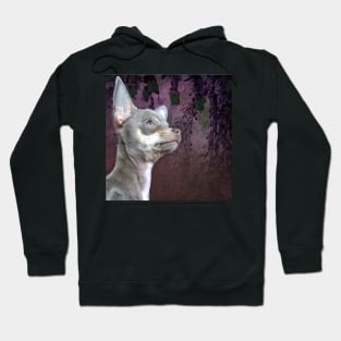 Cute Cheeky Chihuahua Face Purple flower art Hoodie